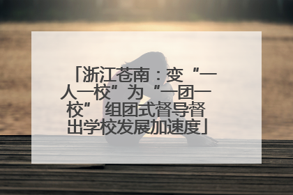浙江苍南：变“一人一校”为“一团一校” 组团式督导督出学校发展加速度