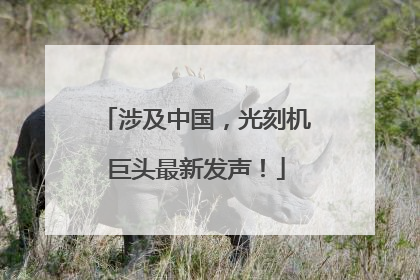 涉及中国，光刻机巨头最新发声！