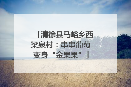清徐县马峪乡西梁泉村：串串葡萄变身“金果果”