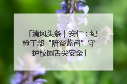 清风头条｜安仁：纪检干部“陪餐监督”守护校园舌尖安全