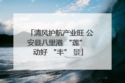 清风护航产业旺 公安县八里港 “莲” 动好 “丰” 景