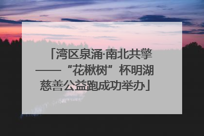 湾区泉涌·南北共擎——“花楸树”杯明湖慈善公益跑成功举办