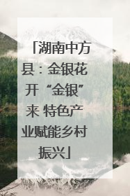 湖南中方县：金银花开“金银”来 特色产业赋能乡村振兴