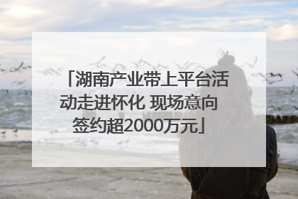 湖南产业带上平台活动走进怀化 现场意向签约超2000万元