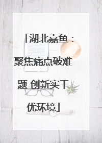 湖北嘉鱼：聚焦痛点破难题 创新实干优环境