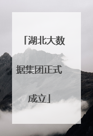 湖北大数据集团正式成立