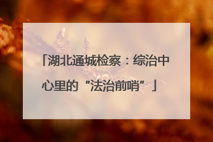 湖北通城检察：综治中心里的“法治前哨”