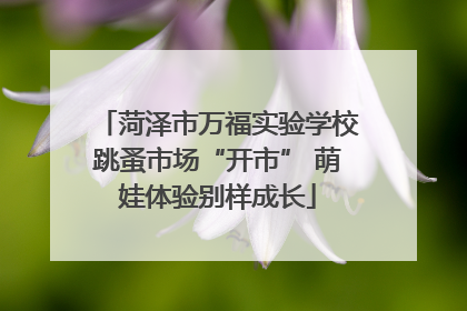 菏泽市万福实验学校跳蚤市场“开市” 萌娃体验别样成长