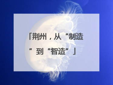 荆州，从“制造”到“智造”