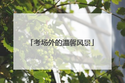 考场外的温馨风景