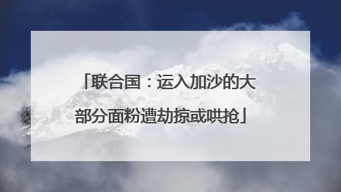 联合国：运入加沙的大部分面粉遭劫掠或哄抢