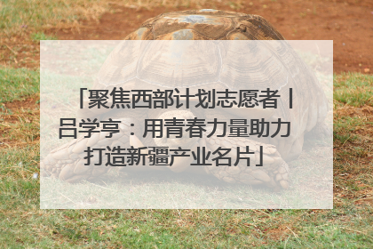 聚焦西部计划志愿者丨吕学亨：用青春力量助力打造新疆产业名片