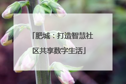 肥城：打造智慧社区共享数字生活