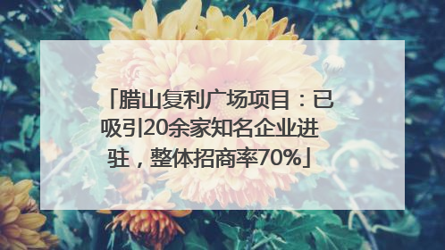 腊山复利广场项目：已吸引20余家知名企业进驻，整体招商率70%