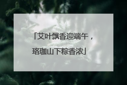 艾叶飘香迎端午，珞珈山下粽香浓