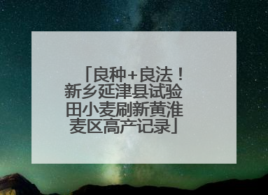 良种+良法！新乡延津县试验田小麦刷新黄淮麦区高产记录