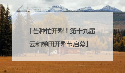芒种忙开犁！第十九届云和梯田开犁节启幕