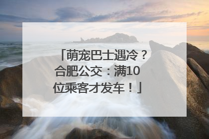 萌宠巴士遇冷？合肥公交：满10位乘客才发车！