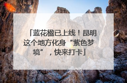 蓝花楹已上线！昆明这个地方化身“紫色梦境”，快来打卡