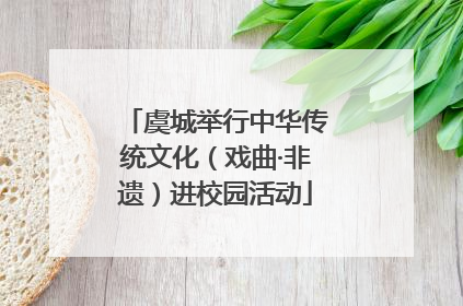 虞城举行中华传统文化（戏曲·非遗）进校园活动