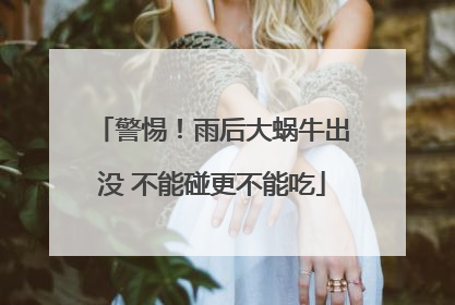 警惕！雨后大蜗牛出没 不能碰更不能吃