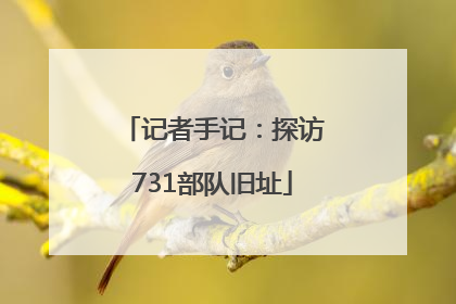 记者手记：探访731部队旧址
