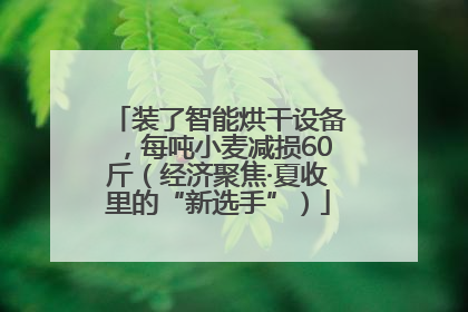 装了智能烘干设备，每吨小麦减损60斤（经济聚焦·夏收里的“新选手”）