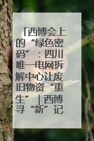 西博会上的“绿色密码”：四川唯一电网拆解中心让废旧物资“重生”｜西博寻“新”记