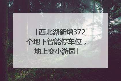 西北湖新增372个地下智能停车位，地上变小游园