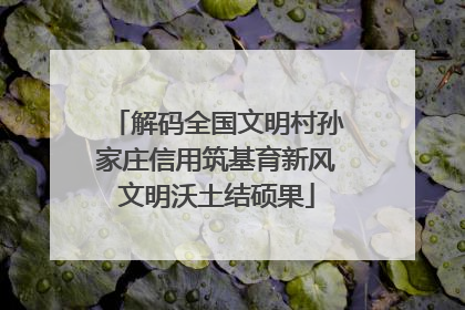 解码全国文明村孙家庄信用筑基育新风文明沃土结硕果