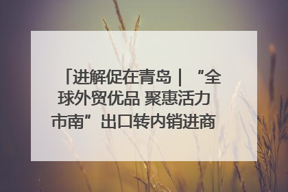 进解促在青岛｜“全球外贸优品 聚惠活力市南”出口转内销进商超专场活动启动