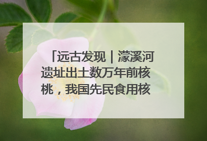 远古发现｜濛溪河遗址出土数万年前核桃，我国先民食用核桃历史大幅提前