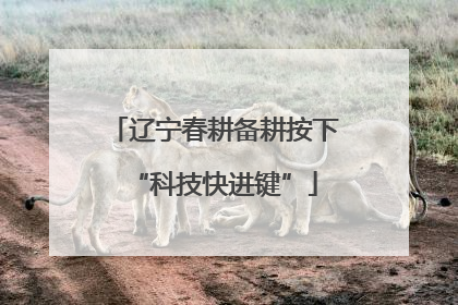 辽宁春耕备耕按下“科技快进键”