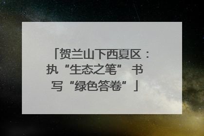 贺兰山下西夏区：执“生态之笔” 书写“绿色答卷”