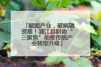 赋能产业，破解融资难！浦江县财政“三聚焦”助推传统产业转型升级