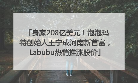 身家208亿美元！泡泡玛特创始人王宁成河南新首富，Labubu热销推涨股价