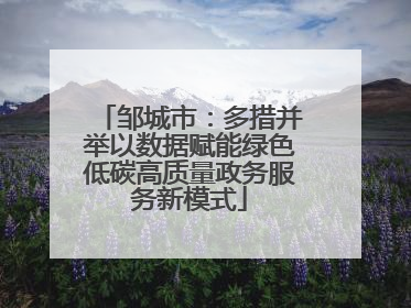 邹城市：多措并举以数据赋能绿色低碳高质量政务服务新模式