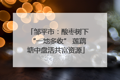 邹平市：酸枣树下“一地多收” 莲藕塘中盘活共富资源
