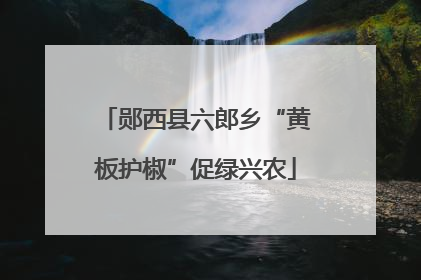 郧西县六郎乡“黄板护椒”促绿兴农