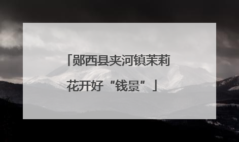 郧西县夹河镇茉莉花开好“钱景”