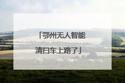 鄂州无人智能清扫车上路了