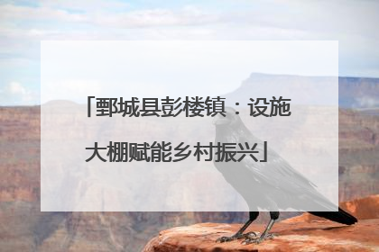 鄄城县彭楼镇：设施大棚赋能乡村振兴