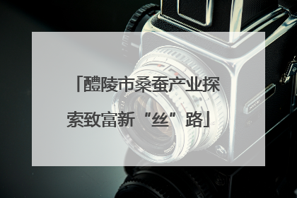 醴陵市桑蚕产业探索致富新“丝”路