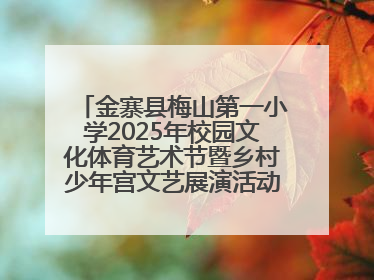 金寨县梅山第一小学2025年校园文化体育艺术节暨乡村少年宫文艺展演活动圆满落幕