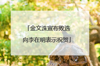 金文洙宣布败选 向李在明表示祝贺