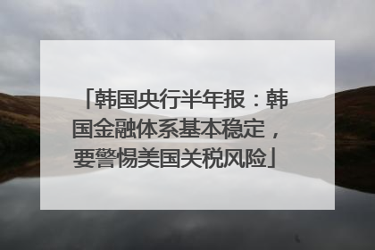 韩国央行半年报：韩国金融体系基本稳定，要警惕美国关税风险