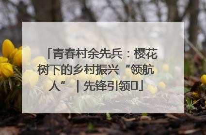 青春村余先兵：樱花树下的乡村振兴“领航人”｜先锋引领⑪