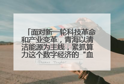 面对新一轮科技革命和产业变革，青海以清洁能源为主线，紧抓算力这个数字经济的“血液”、科技主权的“筹码”、产业升级的“杠杆”、绿色转型的“支点”，勇于撬动国家“双碳”战略、“东数西算”工程重大发展新机遇