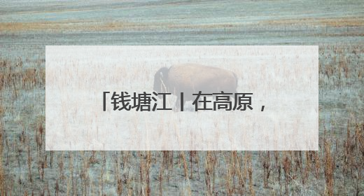 钱塘江丨在高原，我也想送一面锦旗
