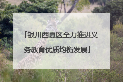 银川西夏区全力推进义务教育优质均衡发展